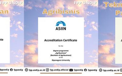 Three UNDIP FPP Study Programs Successfully Achieve International Accreditation